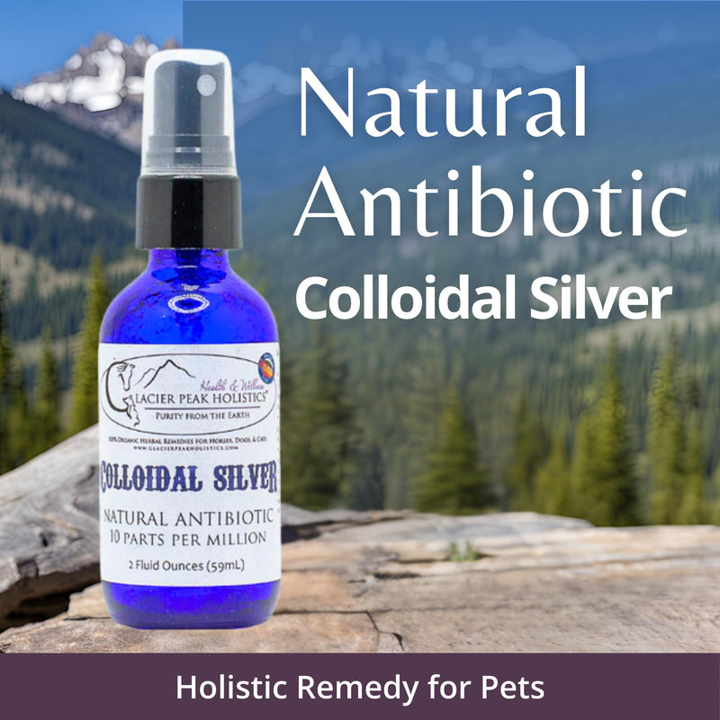 Glacier Peak Holistics Colloidal Silver - Natural Antibiotic Spray for Dogs & Cats, Holistic Remedy for Internal & External Use, Anti-Itch, Wound Healing, and Skin Irritation in Pets - 2oz - PawsPlanet Australia