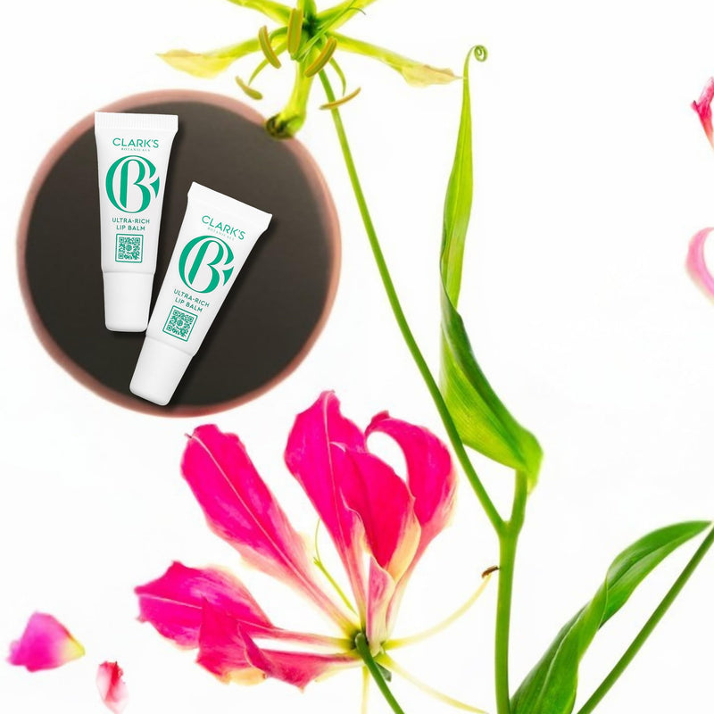 Clark's Botanicals Mini Ultra Rich Lip Balm | Physician-Formulated Plumping Moisturizer | Dry & Dehydrated Lips | Collagen | Shea Butter | Mango & Avocado Butter | Vitamin E | 0.14 fl oz | 2-Pack