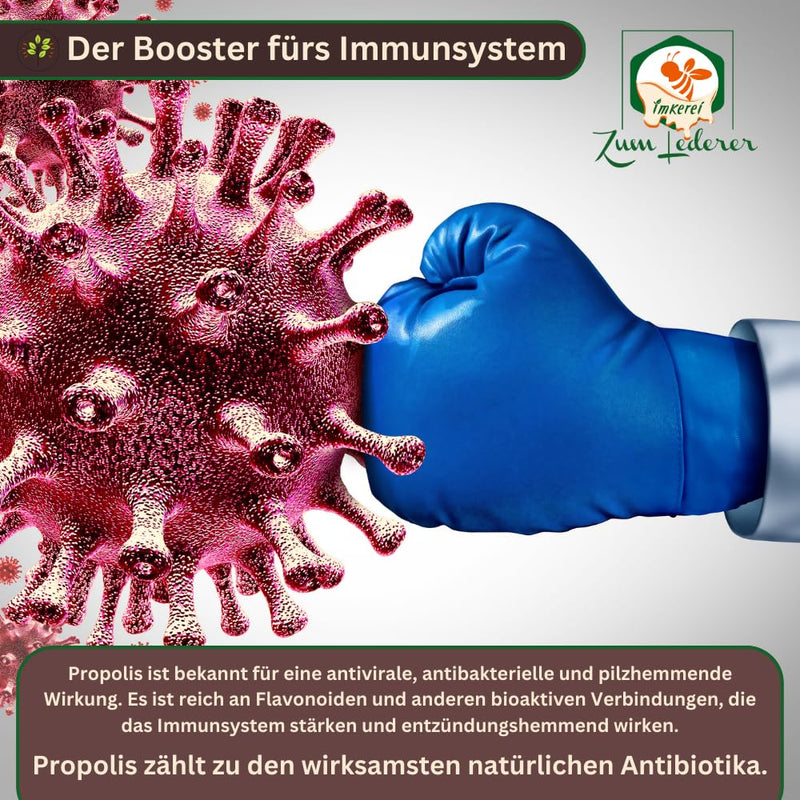 [Australia] - Propolis drops without alcohol - from the beekeeper - Propolis for children, animals and adults - 10% propolis extract from Germany - Propolis drops without alcohol (30ml, 30, milliliter) 30 ml (pack of 1) 30.0 