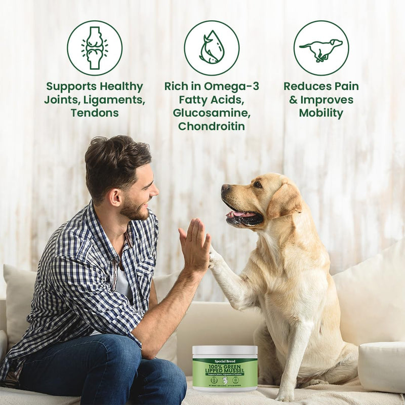 Green Lipped Mussels for Dogs & Cats - Premium Joint Supplement Powder for HIPS, Joints, and Muscles (150 Grams, Up to 500 Servings) 150 Grams - PawsPlanet Australia