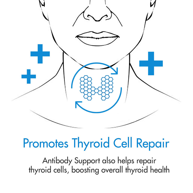 [Australia] - Antibody Support - Thyroid Antibody Support Combines Nigella Black Cumin Seed, Selenium and Inositol to Help Lower Thyroid Antibodies and Thyroid Cells 