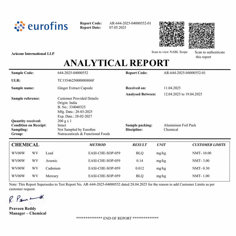 [Australia] - STAY ALIVE Pure Ginger Root Capsules 1000mg, 10:1 Extract Powder with 5% Gingerols, 120 Pills, Extra Strength Root Powder, Vegan, Non-GMO and Gluten-Free Ginger Supplement 