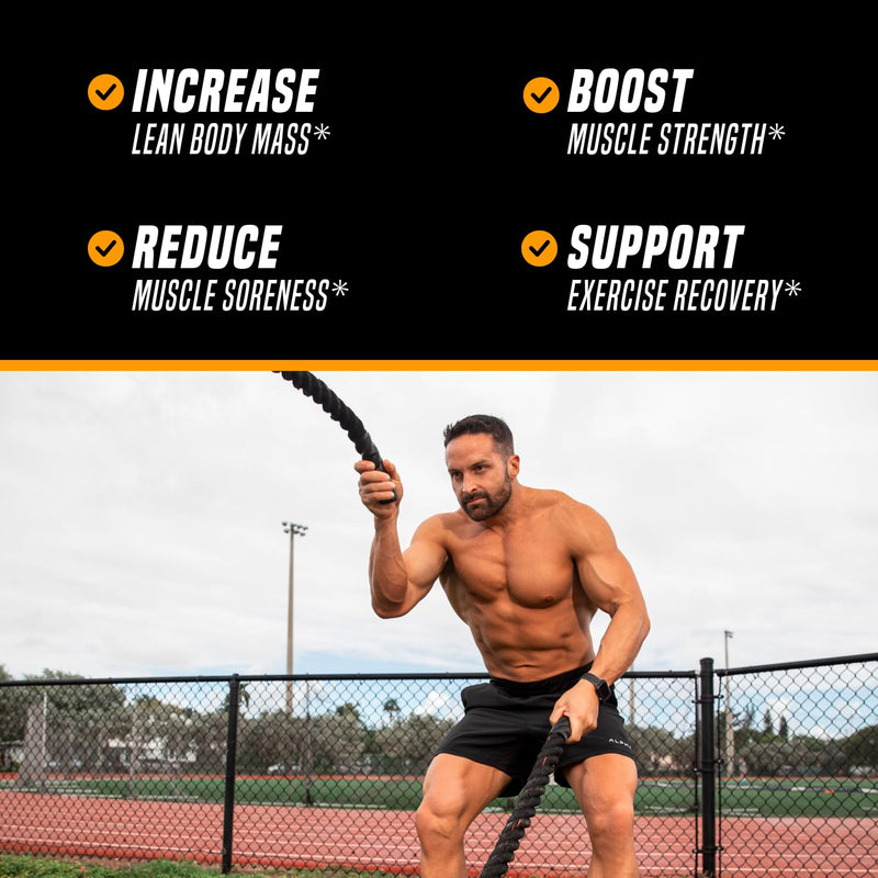 [Australia] - Outwork Nutrition Recovery Supplement, Post Workout Recovery Powder & Muscle Builder for Men and Women, Recharge Muscles After Gym, Backed by Science, Orange Sherbet, 230 Gr 