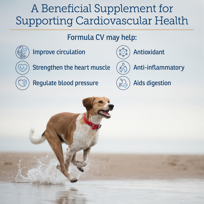 Rx Vitamins Formula CV - Hawthorn Berry Capsules with Taurine - 90ct | Heart Health Supplements Enhanced with Magnesium and Potassium - Senior Dog Vitamins and Senior Cat Vitamins New Label
