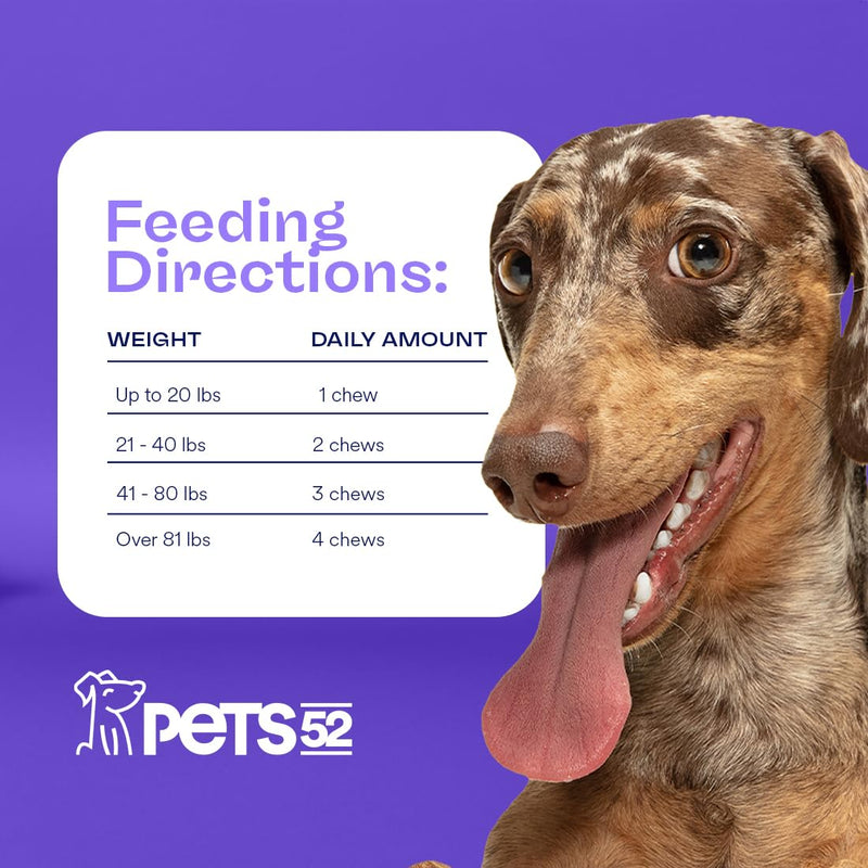 Pets 52 - Digestive Dog Probiotics with Enzymes - Supports Healthy Gut Flora, Boosts Immune System, Promotes Stomach Comfort, Vet-Strength Formula for Improved Digestion - 30-Day Results - PawsPlanet Australia