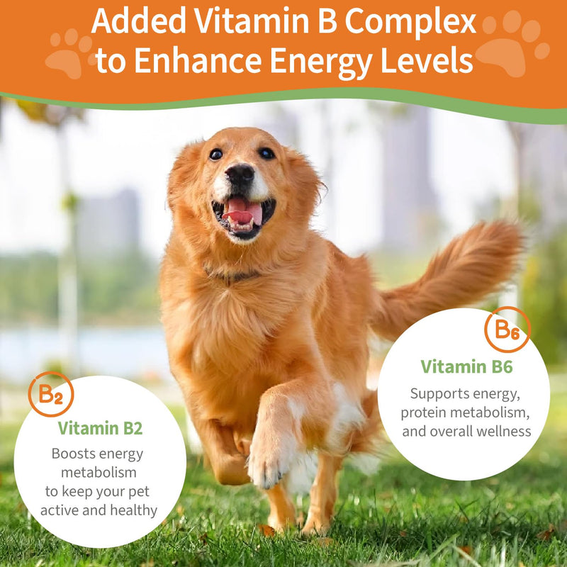 6-in-1 Kidney Support for Dogs & Cats – Promotes Healthy Kidney Function, Energy Levels & Fluid Balance – Veterinarian Formulated Herbal Supplement with Vitamin B2 & B6 – 2 fl oz (59 ml) - PawsPlanet Australia