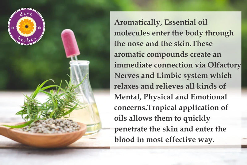 [Australia] - d√®ve herbes Period Relief - Essential Oil Blend to Reduce Menstrual Discomfort with Rosewood, German Chamomile, Clary Sage, Geranium & Spearmint Essential Oils 10ml (0.33oz) 