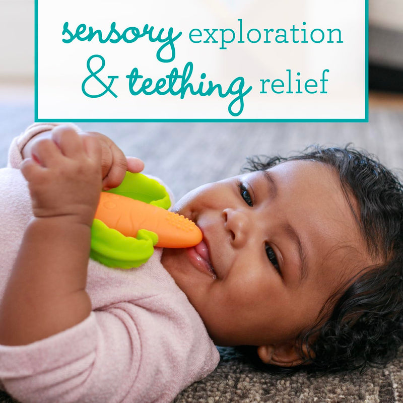[Australia] - Infantino Lil' Nibbles Textured Silicone Baby Teether - Sensory Exploration and Teething Relief with Easy to Hold Handles, Orange Carrot, 0+ Months 