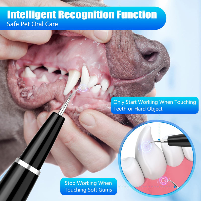 Dog Tartar Remover for Teeth, Plaque Remover with LED Light Teeth Cleaning Kit 5 Modes for Dogs and Cats, Black