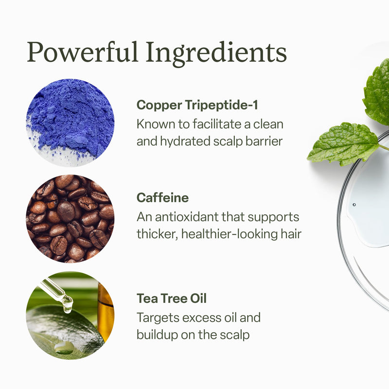 Divi Scalp Serum | To Promote Fuller-Looking Hair with Peptides | 30ml | Multi-Peptide Complex, Caffeine, Rosemary Oil, Vegan, Non-Greasy, Thinning Hair, Fuller-Looking Hair, Scalp Serum, 30ml 30 ml - 1 Month Supply