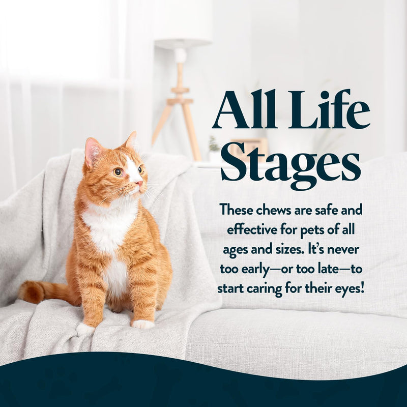 Vision Chews Eye Supplements for Dogs & Cats with Omega 3 Krill, Astaxantin, Choline, Lutein, Glutathione, Cat Vision Supplement & Dog Eye Supplements, Chicken Liver Flavor, 60 Chews, 3.5g Each - PawsPlanet Australia