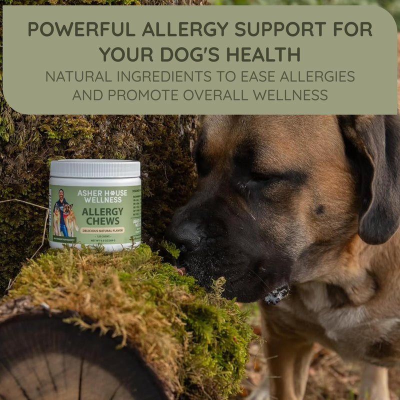 Asher House Wellness Dog Allergy Chews - All-Natural Itchy Skin Relief for Dogs with Bee Pollen, Colostrum - Licking Paw Treatment, Allergy Medicine for Dogs Over 12 Weeks, 120 Chews - PawsPlanet Australia