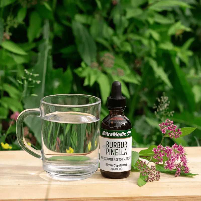 NutraMedix Burbur-Pinella – Herbal Supplement with Natural Extracts – 60 mL Dropper Bottle