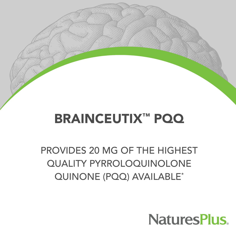 NaturesPlus Brainceutix PQQ - 60 Vegan Capsules - Supplement for Memory, Clarity & Brain Power - Enhanced Energy, Anti-Aging - Pyrroloquinoline Quinone (PQQ) - Vegetarian, Gluten-Free - 30 Servings