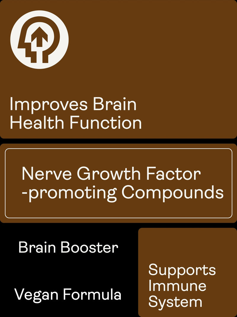 Youth & Earth Nerve Growth Factor (Lion's Mane Erinacines, Hericenones, Rhodiola, Ginseng, Bioperine) – 500mg, 60 Capsules
