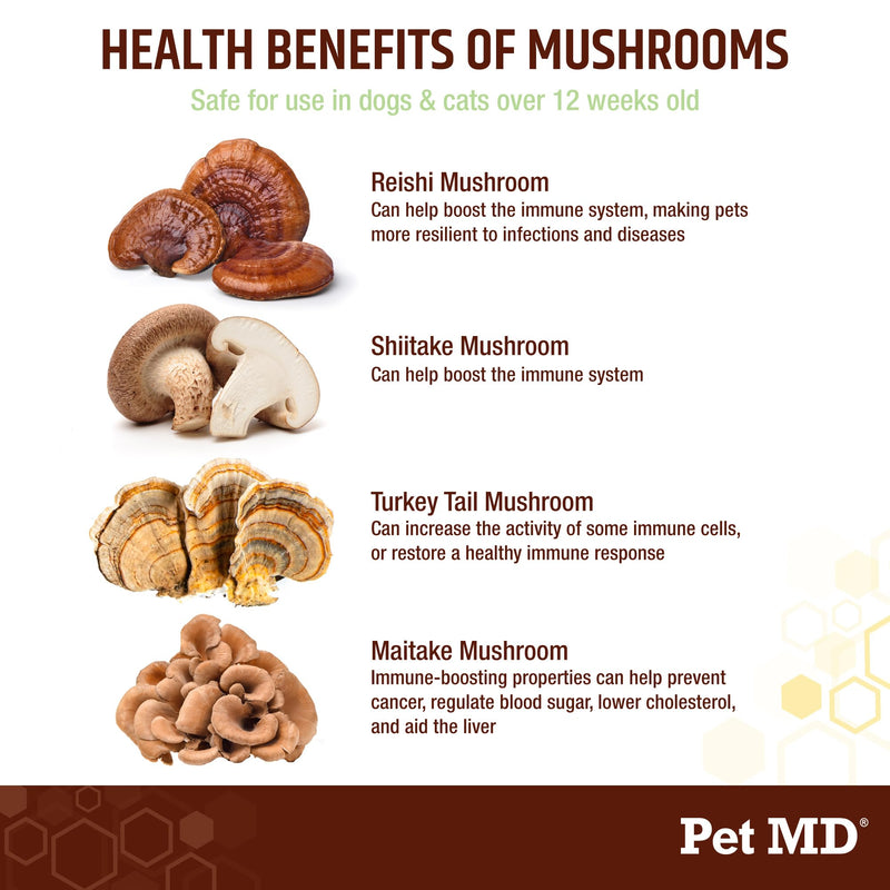 Pet MD Mushroom Immune Support - Turkey Tail Mushroom for Dogs - Mushroom Cat Immune Support Supplement - Milk Thistle for Dogs & Cats with CoQ10 for Dogs - Immunity Supplement for Dogs - 120 Chews - PawsPlanet Australia