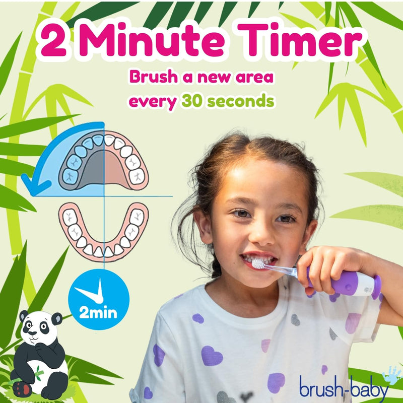 [Australia] - BrushBaby - WildOnes - Kids Rechargeable Electric Toothbrush, Ages 0-10 - Pan-Pan Panda Design with Flashing Lights - DeepClean Bristles for Superior Cleaning - 2 Replacement Brush Heads, 1 USB Cable 