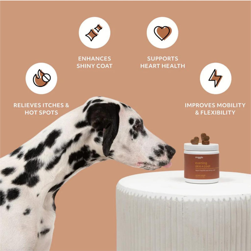 Reggie Evening Skin + Coat Supplements for Dogs | Relieves Itchy/Dry/Flaky Skin & Shedding | Made in The USA, Vet-Approved & Ideal for All Ages, Breeds, and Sizes - 60 Soft Chews - PawsPlanet Australia