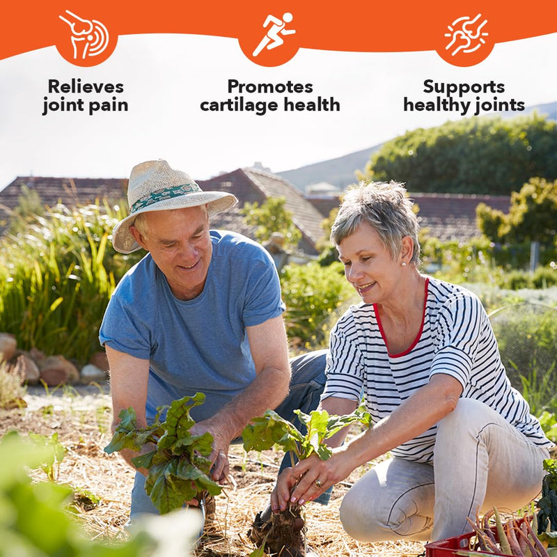 [Australia] - LifeSeasons Mobili-T - Joint Support Supplement - Glucosamine Chondroitin MSM Collagen Bromelain & Turmeric - Reduce Inflammation & Aches - Increase Range of Motion & Mobility - 120 Capsules 120 Count (Pack of 1) 