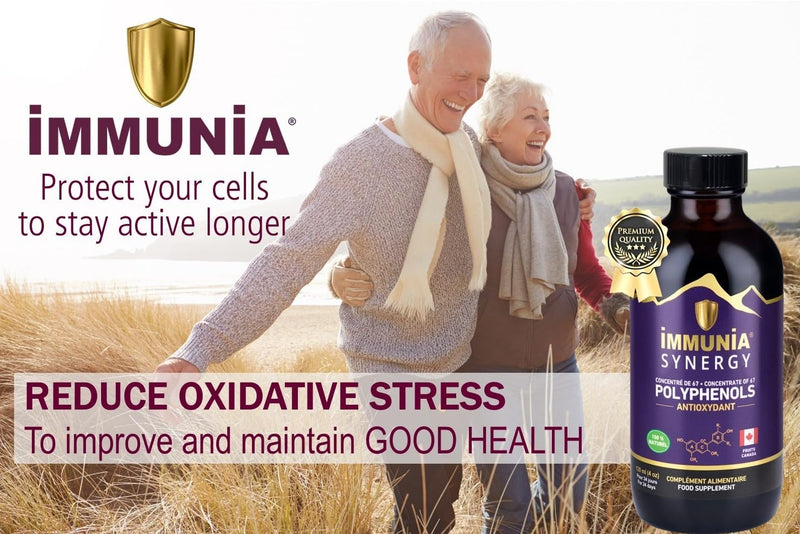 Synergy. Elderberry Supplement for Immune System Support - Powerful Natural Antioxidant. POLYPHENOLS Concentrate. Elderberries from Canada (1-Pack) 1 count (Pack of 1)