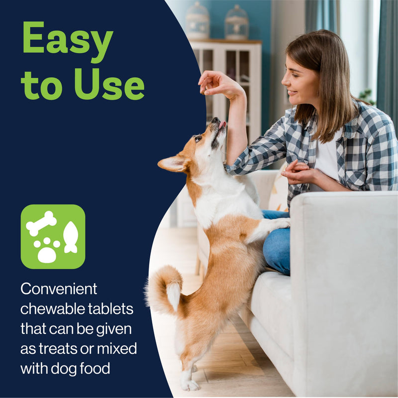 Dog Hip & Joint Supplement | Advanced Inflammation & Pain Relief with Glucosamine, Chondroitin, MSM, Hyaluronic Acid, Green Lipped Mussel, Turmeric, and Vitamin E. 60 Peanut Butter Chews - PawsPlanet Australia