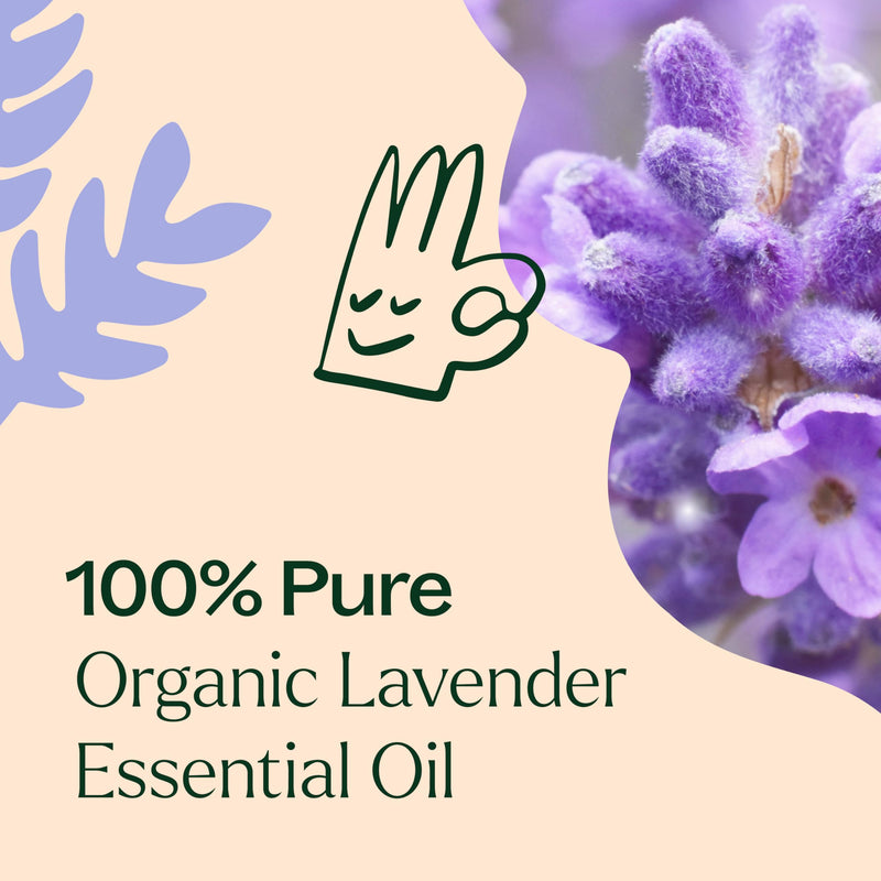 [Australia] - Plant Therapy Organic Lavender Essential Oil 100% Pure, USDA Certified Organic, Undiluted, Natural Aromatherapy, Therapeutic Grade 10 mL (1/3 oz) 0.33 Fl Oz (Pack of 1) 