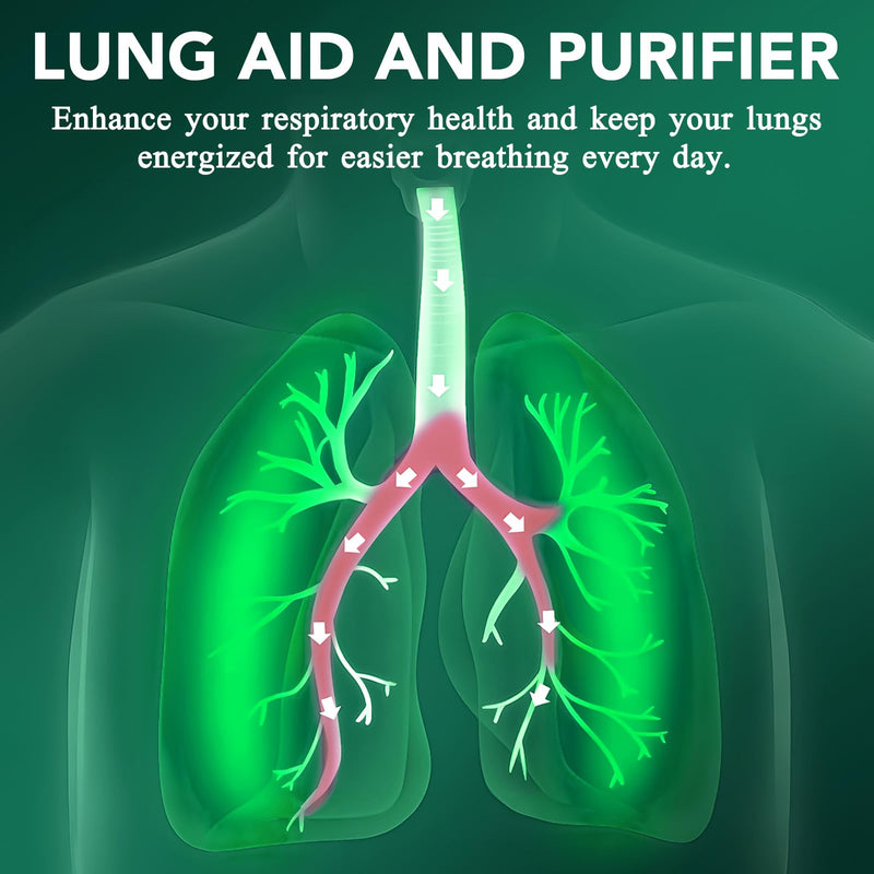 [Australia] - Mullein Drops for Lungs - Mullein Leaf Extract for Lungs, Chlorophyll Liquid Drops Supplement for Lung Cleanse, Natural Herbal 2 Fl Oz (Pack of 1) 