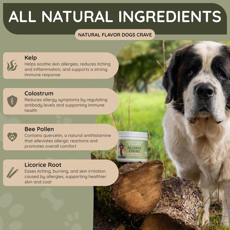 Asher House Wellness Dog Allergy Chews - All-Natural Itchy Skin Relief for Dogs with Bee Pollen, Colostrum - Licking Paw Treatment, Allergy Medicine for Dogs Over 12 Weeks, 120 Chews - PawsPlanet Australia