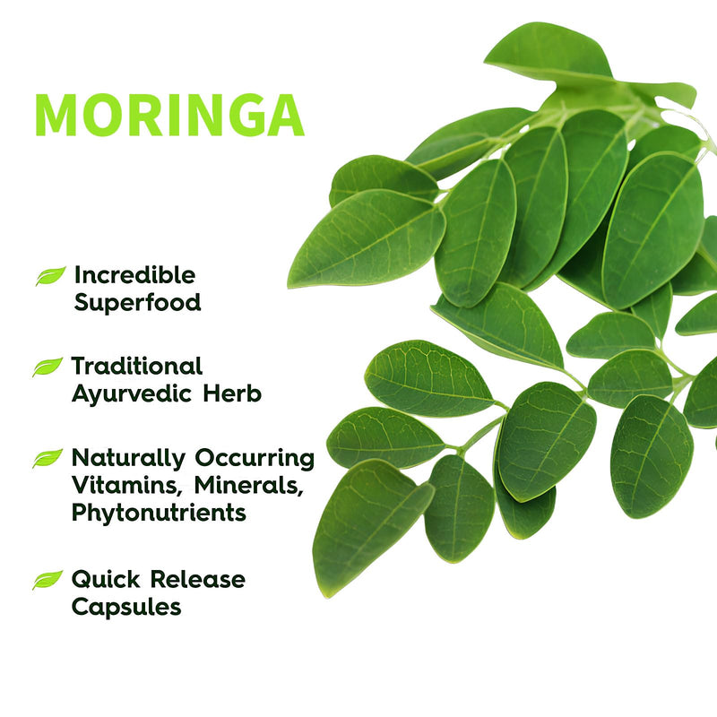 120 Moringa Gummies 3000mg | High Strength Moringa Leaf Extract | Antioxidant Supplement with Stevia | Immune Support, Energy, Hair, Skin & Joint Health | Cortisol Reducing Supplements