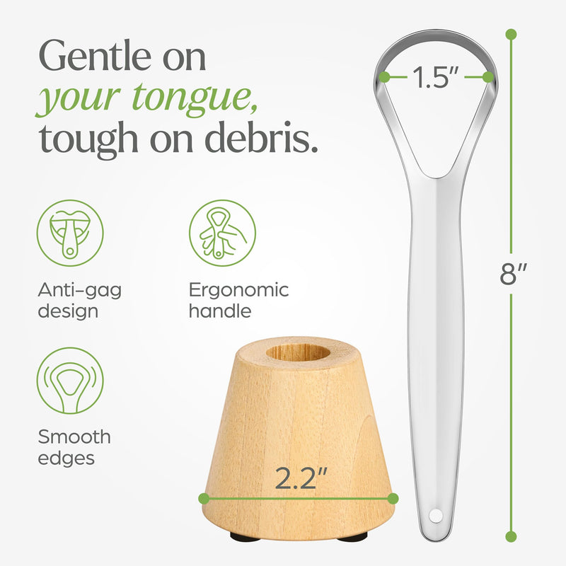 [Australia] - Tongue Scraper for Adults with Holder (2 Pack) - Metal Tongue Scraper for Tongue Cleaning and Reducing Bad Breath - Stainless Steel Tongue Scraper for Adults, Tongue Cleaner for Adults 