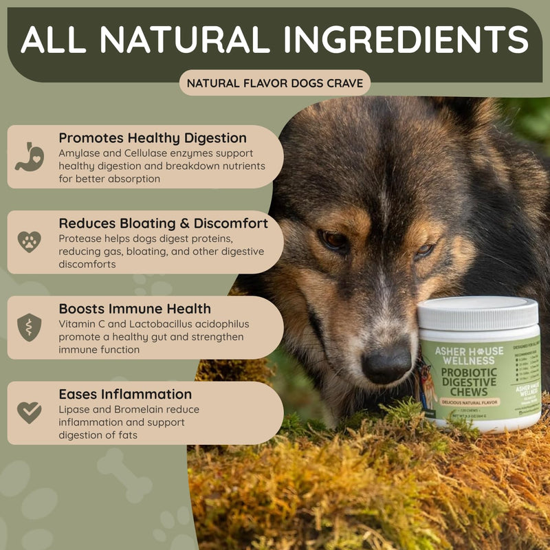 Asher House Wellness Probiotics Digestive Chew for Dogs - Dog Probiotic, Digestive Enzymes for Gut Health & Digestion - Pet Chews for Diarrhea, Upset Stomach, Allergies, Itchy Skin Relief, 120 Chews - PawsPlanet Australia