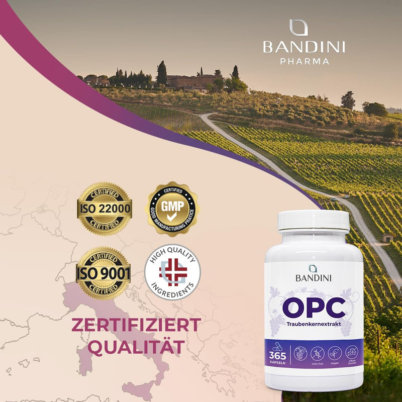 [Australia] - Bandini® grape seed extract 365 capsules 1076mg per dose | Highest OPC content according to HPLC | 95% pure grape seed extract from Italian grapes | 1052mg extract with 999.4mg OPC + 24mg vitamin C 