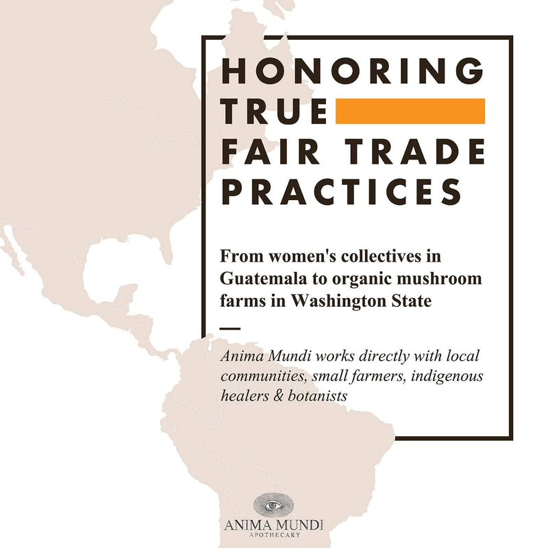 [Australia] - Anima Mundi Apothecary Mucuna Powder - Adaptogenic Mood Support Supplement Powder - Mucuna Mood Booster Powder - Add to Coffee, Tea & More to Promote Positive Mood (5oz / 142g) 