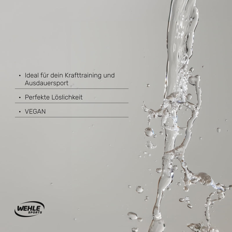 [Australia] - Cyclic Dextrin (Cluster Dextrin®) 1000g - Premium carbohydrate powder especially for highly branched cyclic dextrin - Patented carbohydrate powder for sports and fitness - Wehle Sports® 
