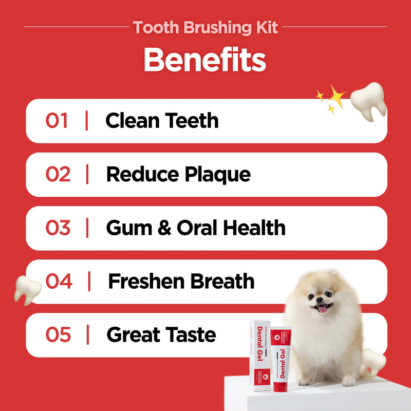 JAYU PET Tooth Brushing Kit - Dental Gel 1EA + Dental Care Brush 1EA | Dog Cat Tooth Brush Kit, Pet Toothpaste and Toothbrush Set, Dental Oral Care Kit, Dog Cat Toothpaste and Brush - PawsPlanet Australia