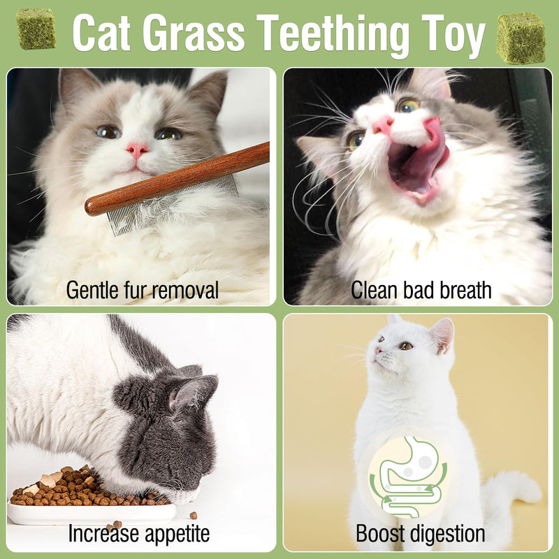 60g/2.12oz Cat Grass Teething Toy Hairballs,Chew Treats for Cats,Edible Cat Chew Toys,Natural for Cats,Teeth Cleaning and Hairball Removal - PawsPlanet Australia