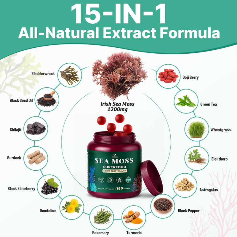 Sea Moss Gummies, 15-in-1 Natural Irish Seamoss Gummies for Adults & Kids | with Shilajit, Elderberry, Bladderwrack, Burdock Root, Turmeric for Immune, Energy, Detox & Metabolism, 0 Sugar, 180 Count 180 Count (Pack of 1)