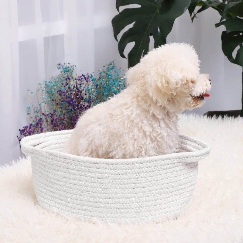 [Australia] - ABenkle Cute Small Woven Basket with Handles, 12"x 8" x 5" Rope Room Shelf Storage Basket Chest Box for Cat and Dog Toys, Empty Decorative Gift - White 1 Pack 