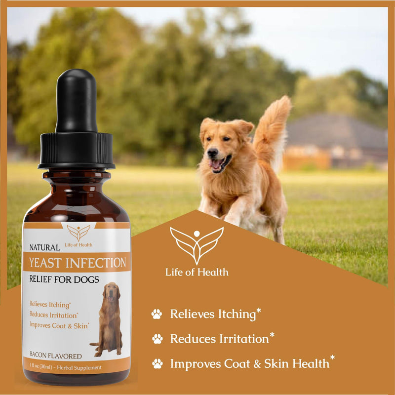 Natural Yeast Infection Treatment for Dogs | Supports Healthy Itch Relief, Inflammation Relief, Allergy Relief & More | Dog Yeast Ear Infection Treatment | Dog Itch Relief | Dog Allergy Relief - PawsPlanet Australia