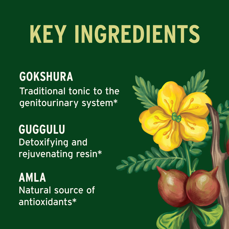 Banyan Botanicals Organic Gokshuradi Guggulu – Urinary Tract & Kidney Support Supplement – with Gokshura & Guggulu Resin for Systemic Cleansing & Vitality – 90 Tablets – USDA Organic