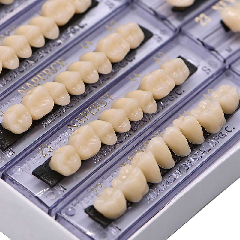 [Australia] - RZJZGZ Synthetic Resin Tooth Denture False Teeth for Halloween Horror Teeth 23 A3(56 Pcs/2Set) 