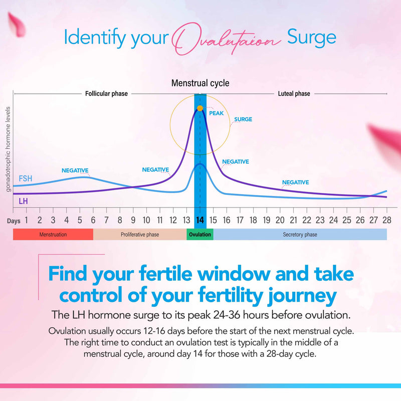 [Australia] - Clinical Guard Ovulation and Pregnancy Test Strips - 40 Ovulation Test Strips and 10 Pregnancy Test Strips, Ovulation Kit, Lh Test Strips, Ovulation Tests, Hcg Test Strips, Fertility Test for Women 50 Count (Pack of 1) 