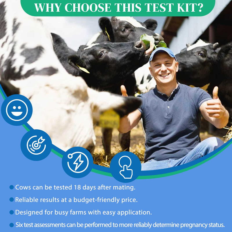 6-Pack Cow Pregnancy Test Kit - Early Urine Detection for Cattle, Get Fast 10-Minute Results, Essential Non-Invasive Monitoring Tool for Dairy Cows & Beef Herds