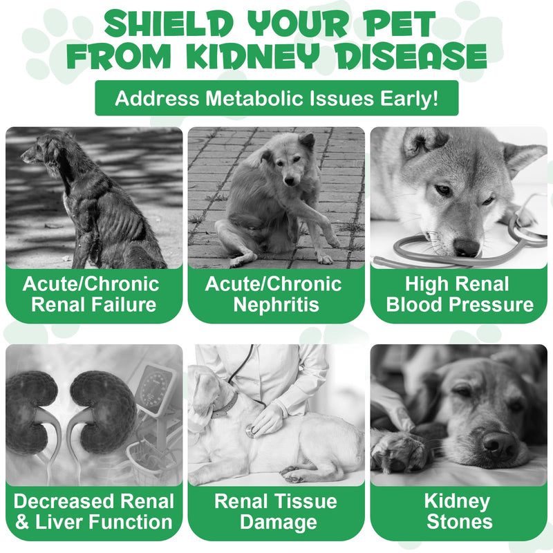 Kidney Support for Dogs, Kidney Support Herbal Supplement Drops Supports Healthy Kidney Function & Urinary Tract Health in Dogs Restoring Normal Appetite 2 oz - PawsPlanet Australia