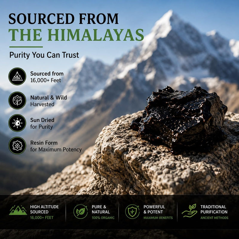 The Organic Vital Himalayan Shilajit Resin – Natural Energy and Vitality Support for Men and Women - 20g - Pure Mineral Supplement for Stamina & Brain Health