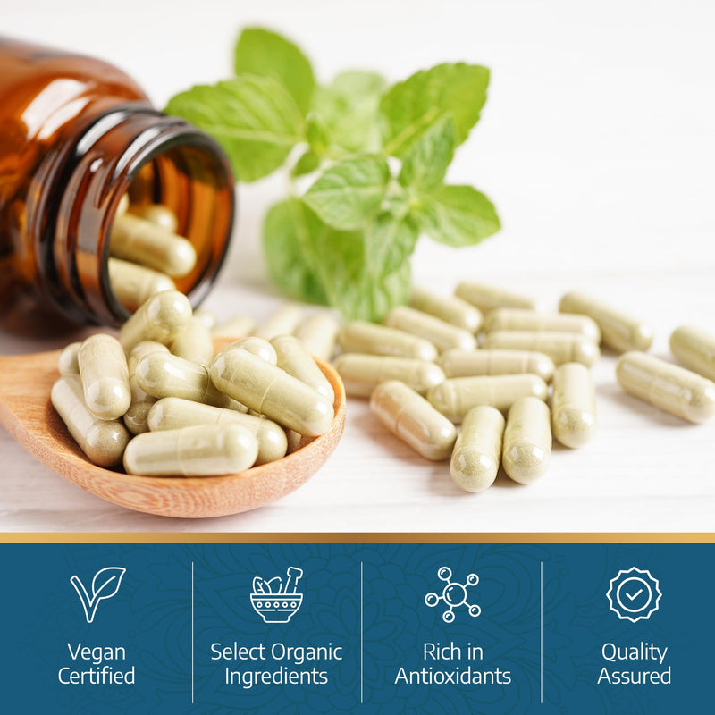 Ayurvediq Boswellia Serrata and Turmeric with Black Pepper Piperine Capsules – 60 Vegan Organic Turmeric Curcumin Capsules a Natural Anti Inflammatory Supplement Joint Support - Ayurvedic Products