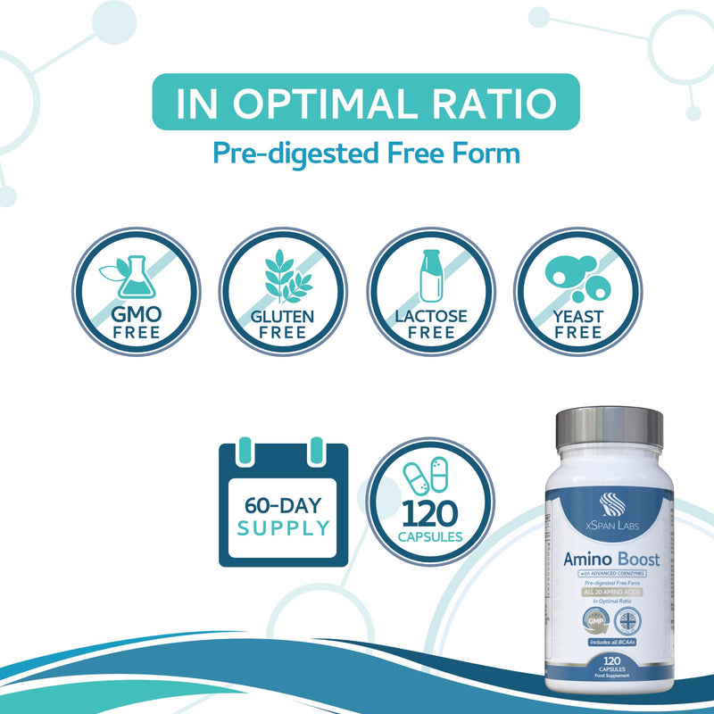 Amino Boost - Full Spectrum 20 Amino Acids Supplement 120 Vegan Capsules |Includes All BCAAs - Free Form pre-digested Amino Acids with Added Advanced Coenzyme Support. No Additives - UK Made