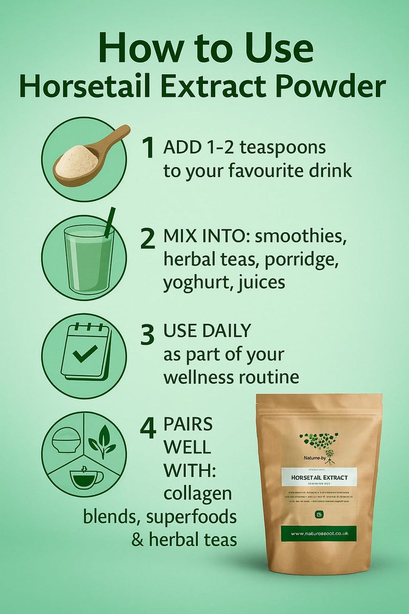 Horsetail Extract Powder 10:1 – Natural Silica Supplement by Nature’s Root – Premium Horse Tail Herb – Silicium-Rich Botanical Powder for Smoothies & Teas – Vegan, Pure, Filler-Free (200g)