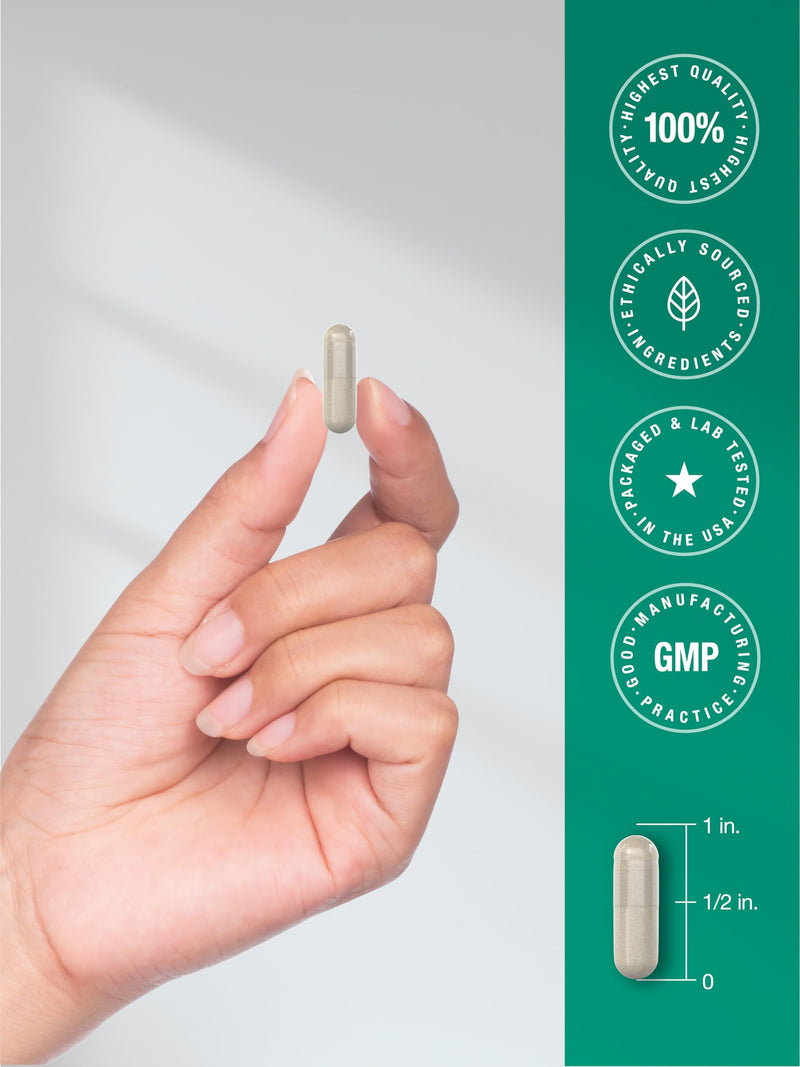 [Australia] - Horb√§ach Hyaluronic Acid Capsules | 250 mg | 240 Count | Non-GMO and Gluten Free Supplement 240 Count (Pack of 1) 