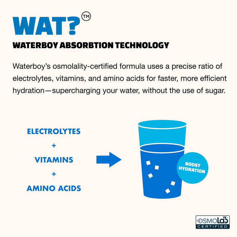 [Australia] - Waterboy Workout Hydration | 2,960mg Sugar Free Electrolyte Powder Packets | L-Glutamine + Vitamins | No Sugar, All Natural, Gluten Free | 15 Drink Stick Mixes (Blue Raspberry) Blue Raspberry (15ct) 